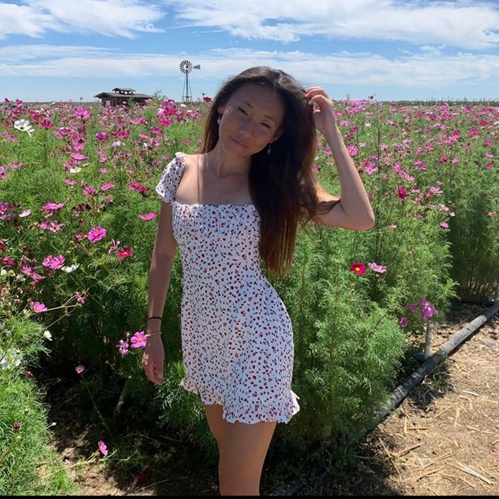 Fashion Nova cute summer dress